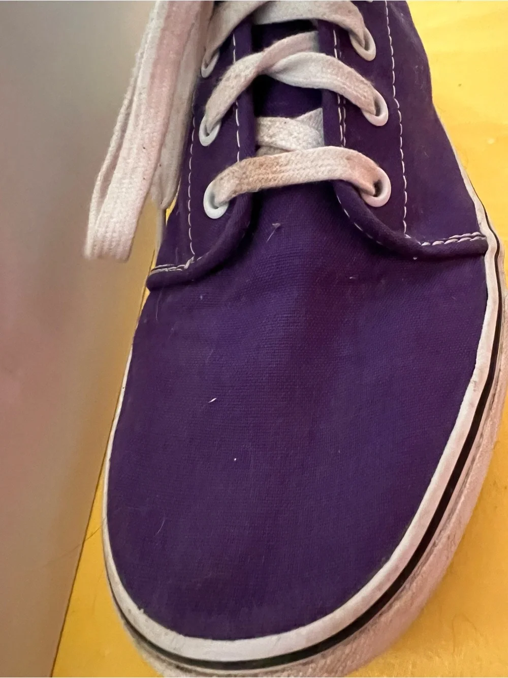 Vans Men’s Authentic Canvas Sneaker - Purple with White Laces